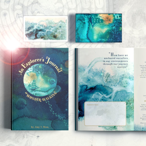 “An Explorer’s Journal of Wonder-Walking- Limited 1st Edition ...
